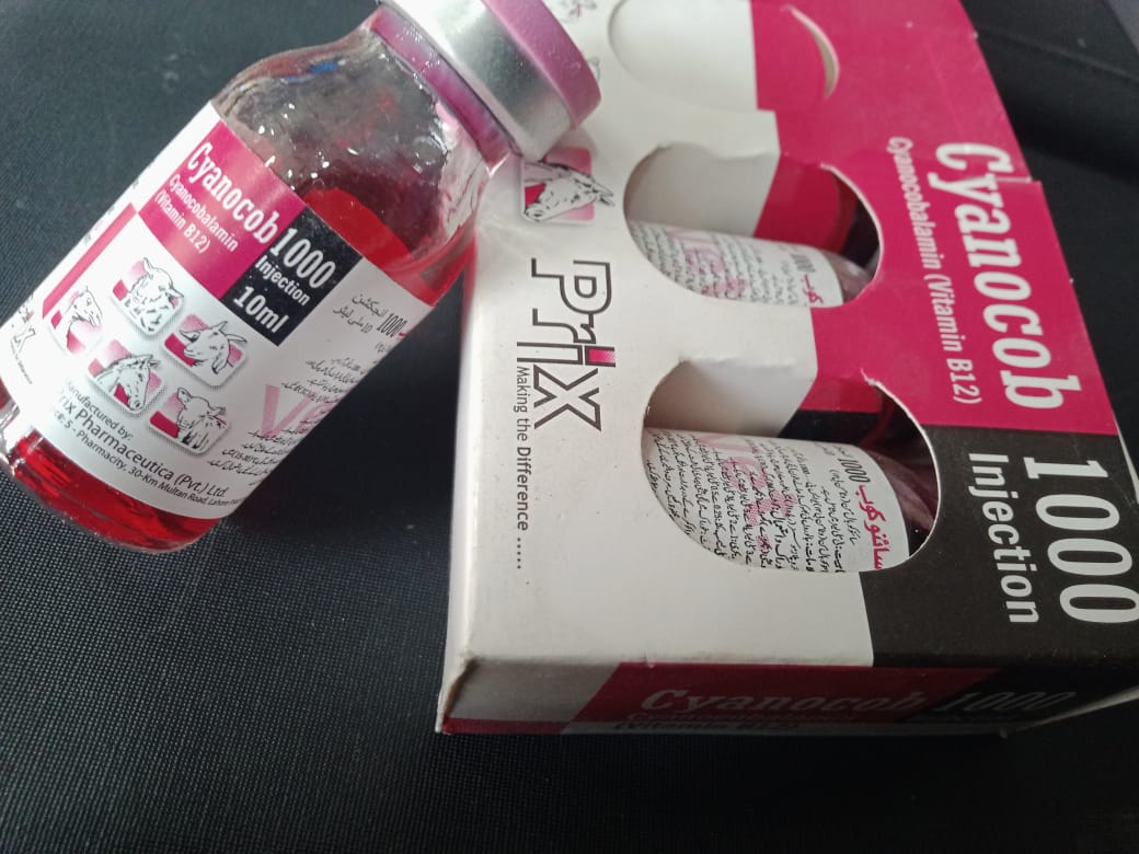 b12 injection price in pakistan Mecobal Injection 500 mcg 10 Amp Price in Pakistan- MedicalStore.com.pk main image 1