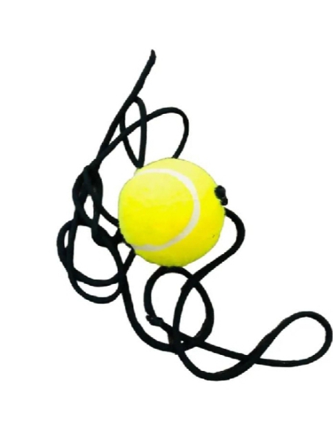 Cricket hanging tennis ball with rope.cricket ball.ball with rope tape ball tennis ball