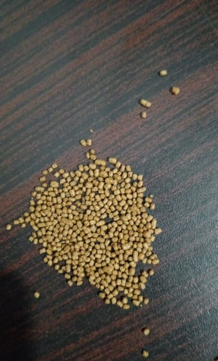 fish food for medium size fish 1kg