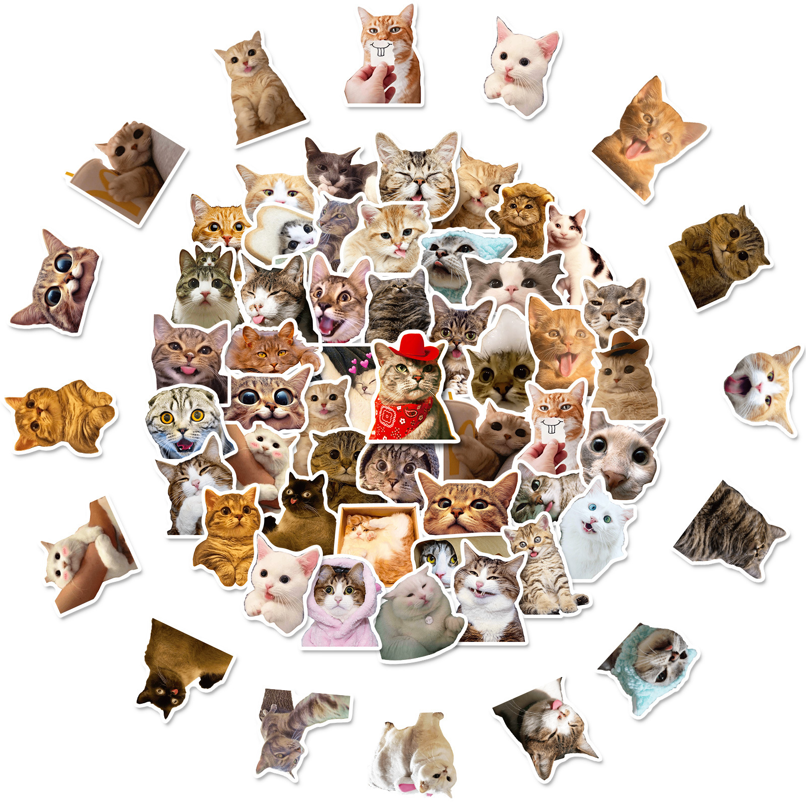 Kawaii Cat Sticker Pack 50Pcs Pack - Waterproof Kawaii Cat Decals For ...
