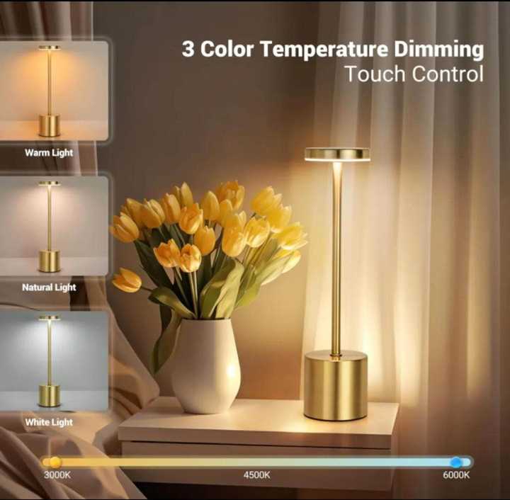 Rechargeable Table Touch Lamp | Dimmable LED Bedside Night Light with USB Charging