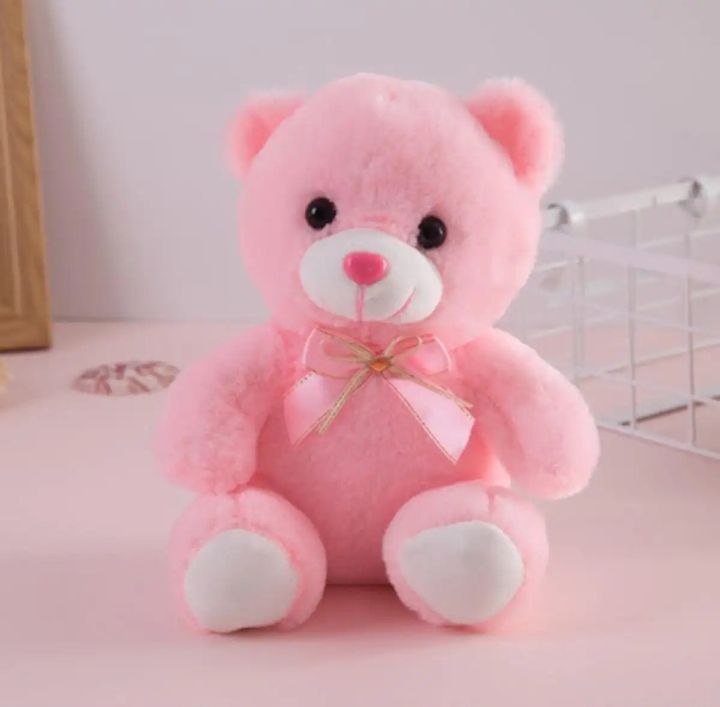 10 inch Teddy bear stuffed animals,Small Baby Bear Plush,Soft Toy For Kids, Boys and Girls