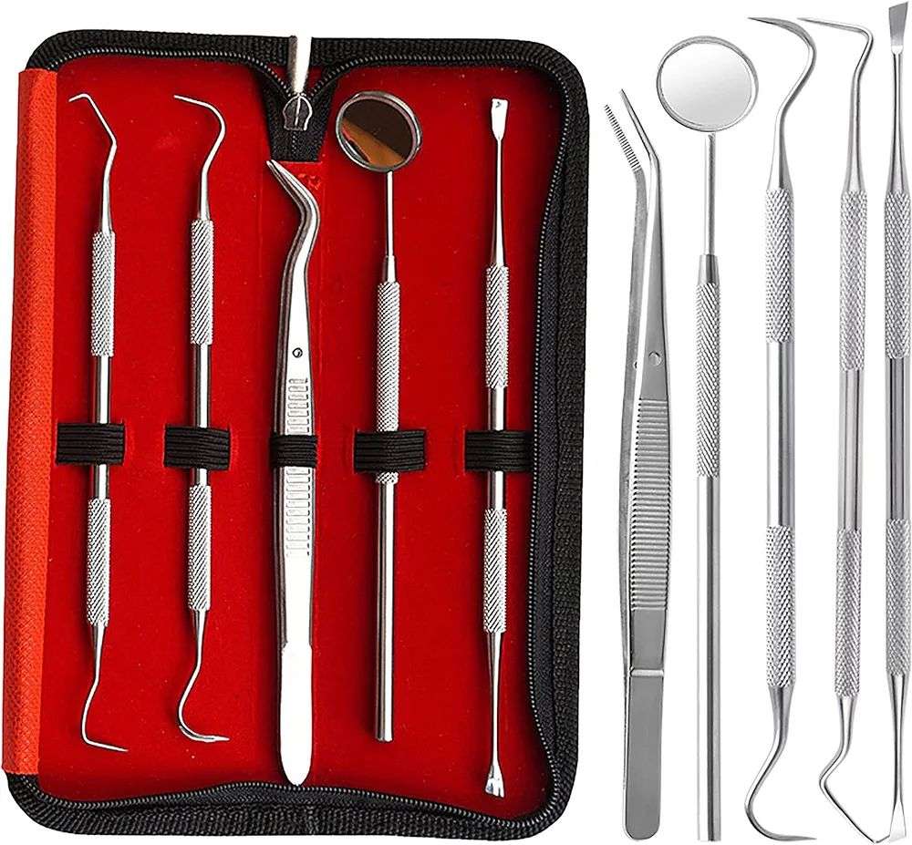 6 Pack Dental Tools, Professional Dentist Tool Hygiene Kit, Stainless Steel  Tooth Scraper Cleaning Plaque and Tartar Remover for Teeth, Dental Picks  Scaler Oral Care Tools Set (with Case) 6 Pack Dental