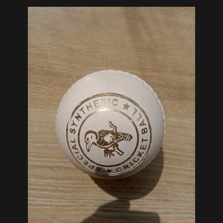 Practice Cricket soft Ball (Synthetic)