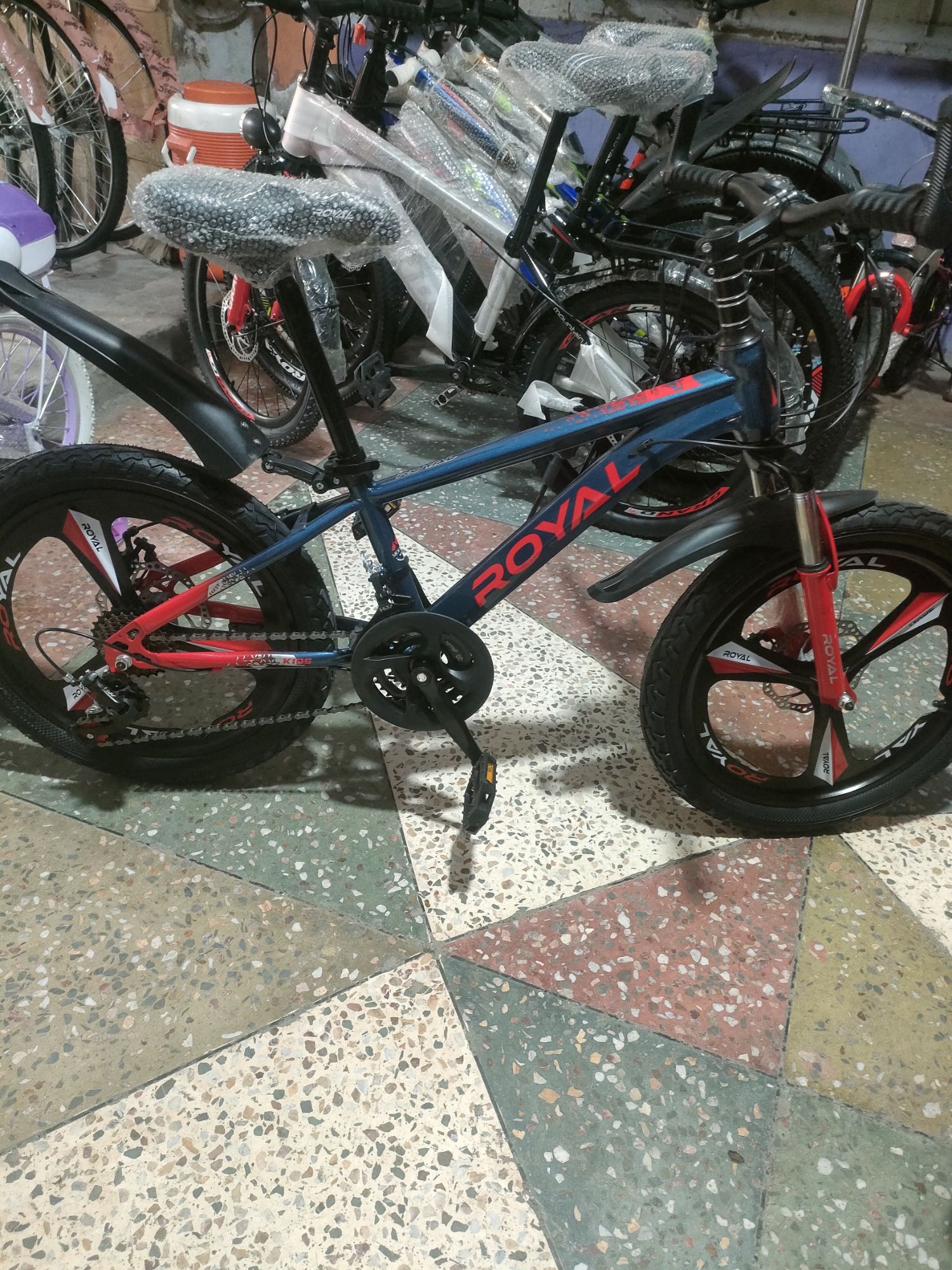 20 inch cycle for 7 to 12 years imported China
