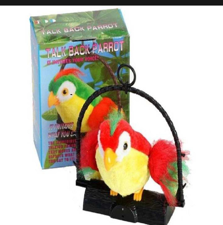 Buy talking parrot toy Online at Best Price in Pakistan