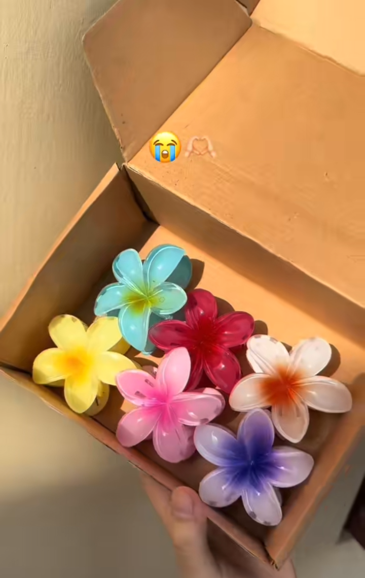 Flower Hair Clips For Girls Asthetic Colours and Best Quality and Premium and Unique Colours and Premium Pack.....