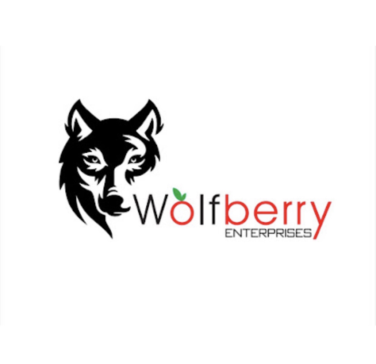wolfberry sports Pakistan