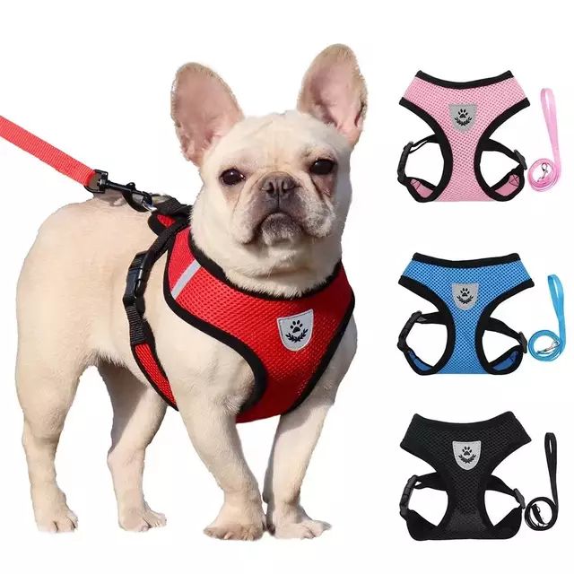 harness for dogs near me