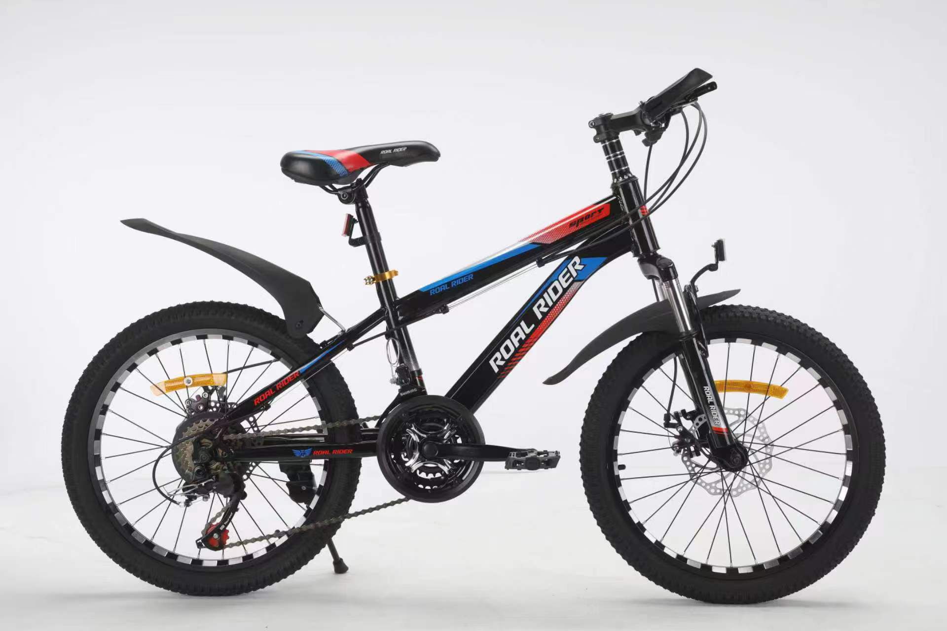 Roal Rider Cycle 20 inch with 10 Gears imported China