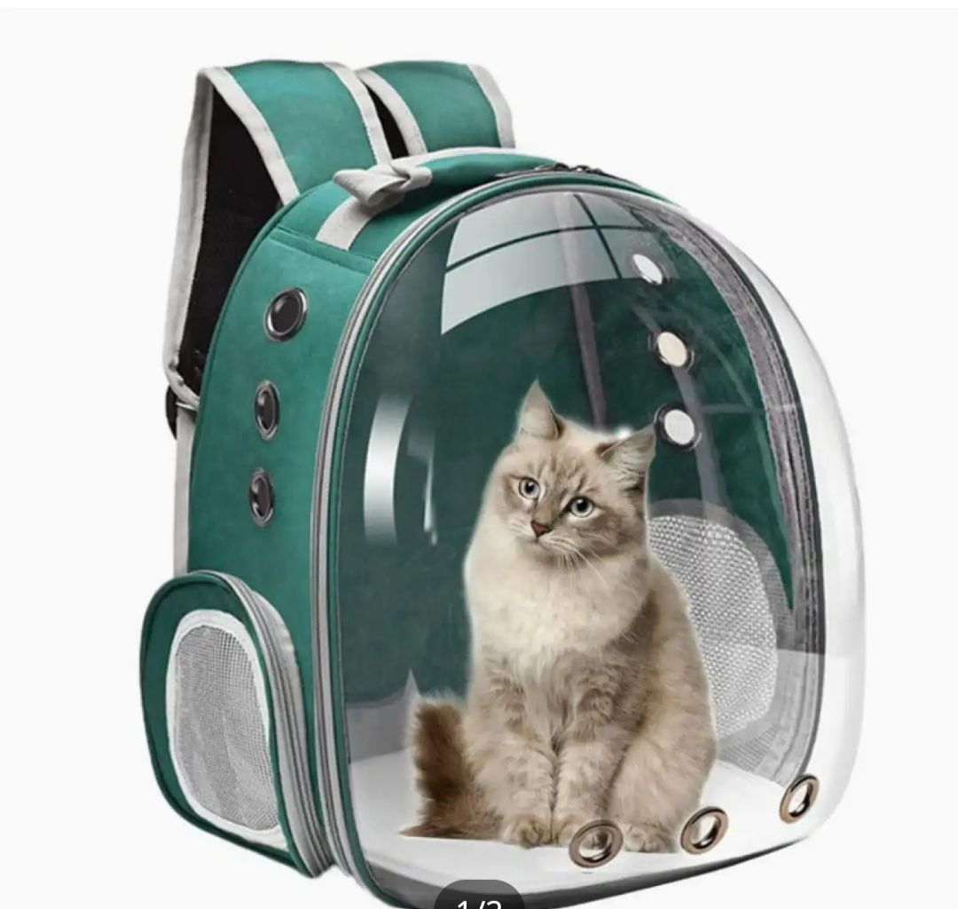 Pet Carrier Bag Pack For Cats & Puppies