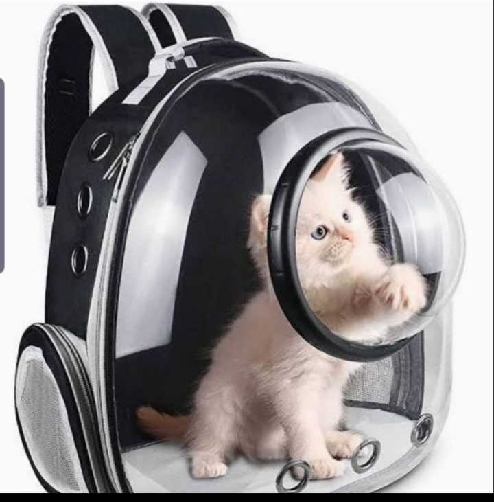 Cat Backpack Carrier - Bubble - ,Large Transparent Pet Backpack Bag - ,Portable - Ventilated Carry Backpack for Cat - Small Dog - Airline Approved Waterproof Pet Carrier Bag - For Hiking Outdoor Use  ( MULTICOLOUR )