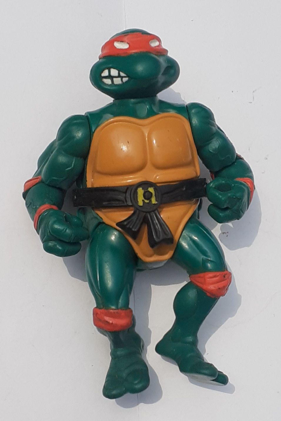 Ninja Turtles Action Figure Toy