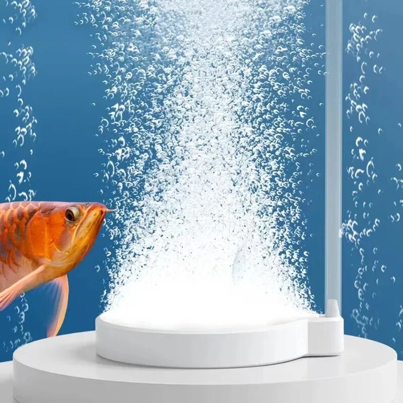 Buy Aquariums Accessories Online at Best Price in Pakistan Daraz.pk