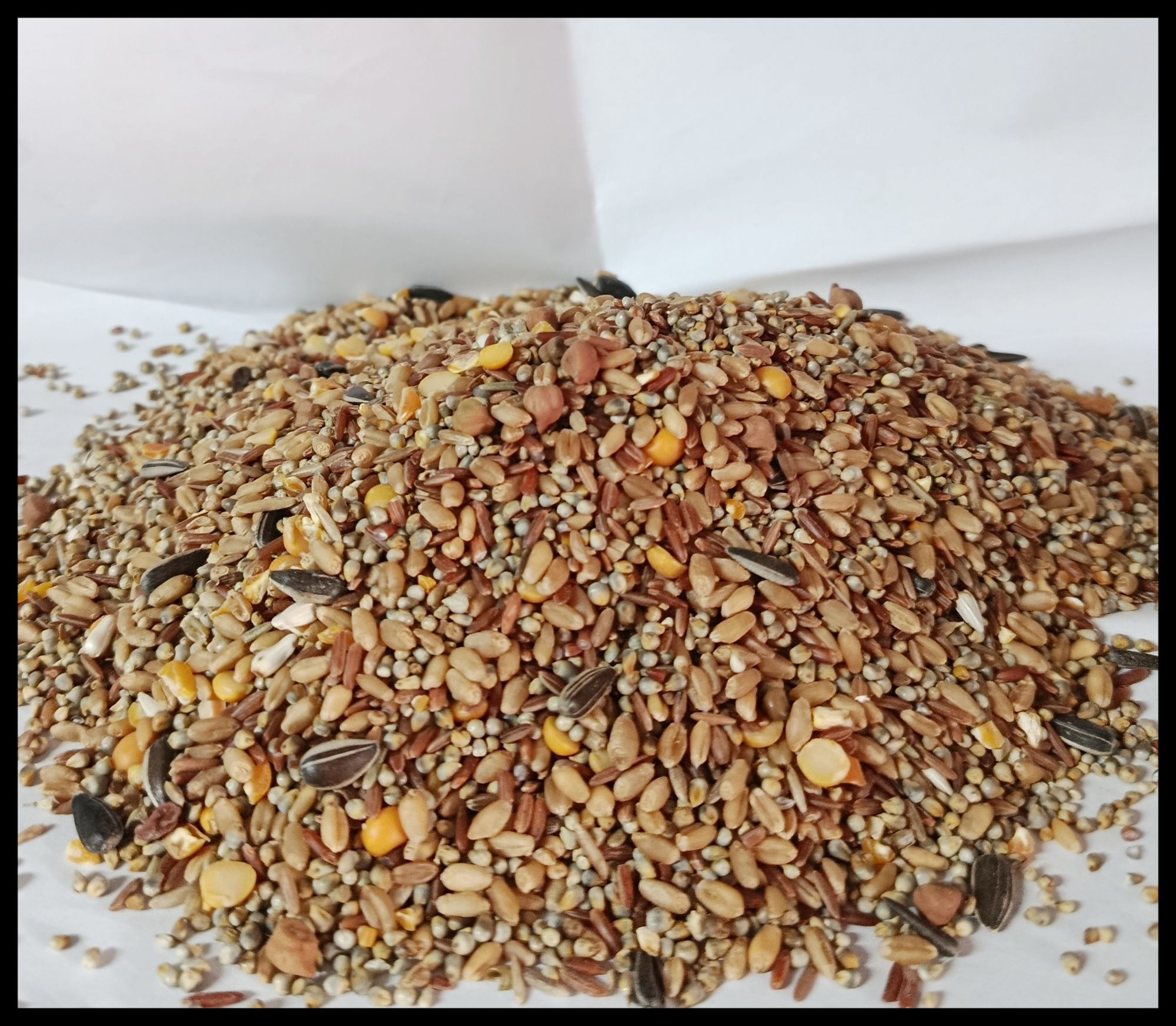 Premium Pigeon Mix Seeds 5KG - High Protein Kabootar mix - Clean & Nutritious pigeon mix, kabotar mix