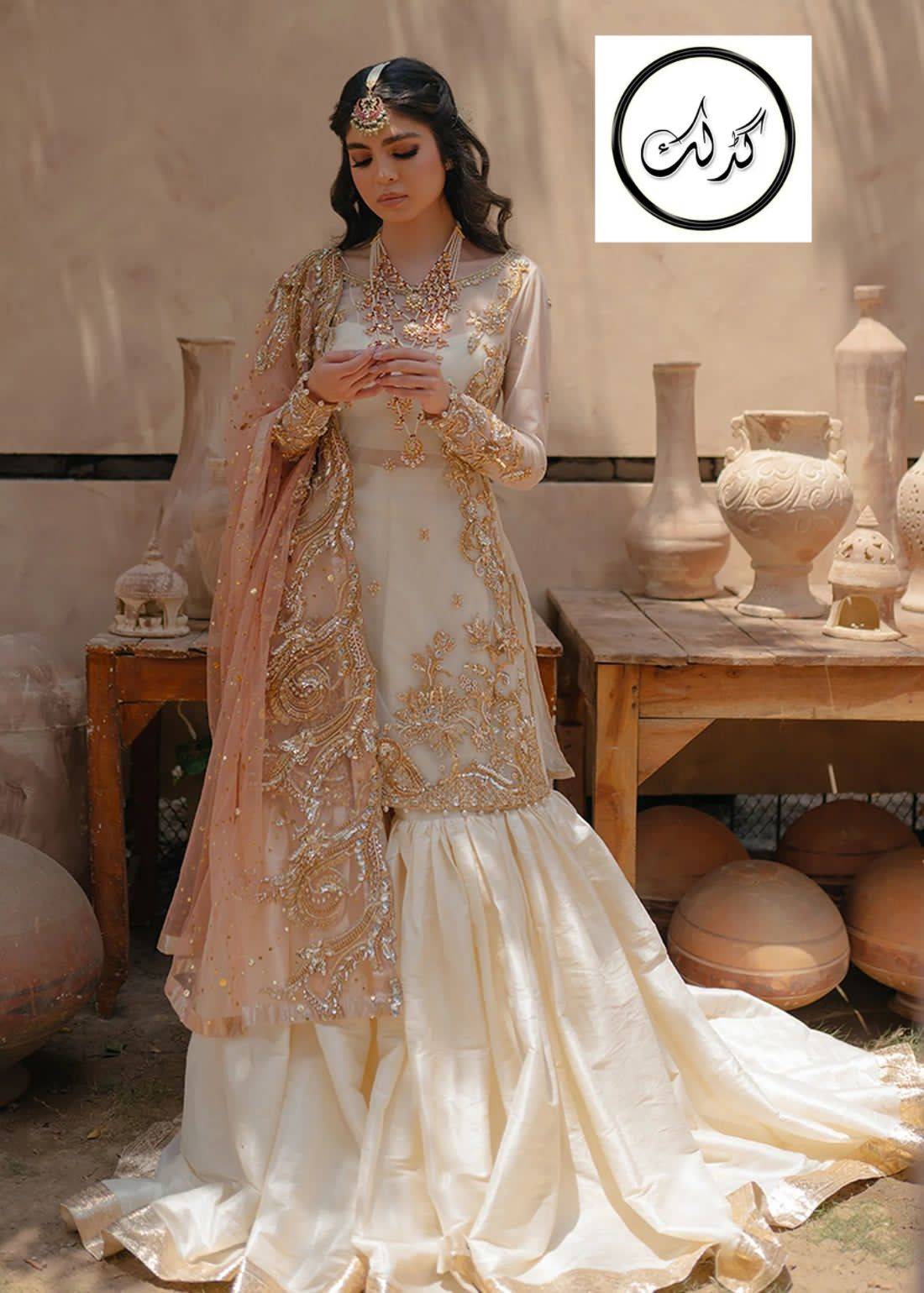 Pakistani wedding lehenga, Blue net chaniya choli-Andaaz Fashion