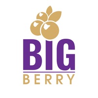 Big Berry Cosmetics | Daraz PK