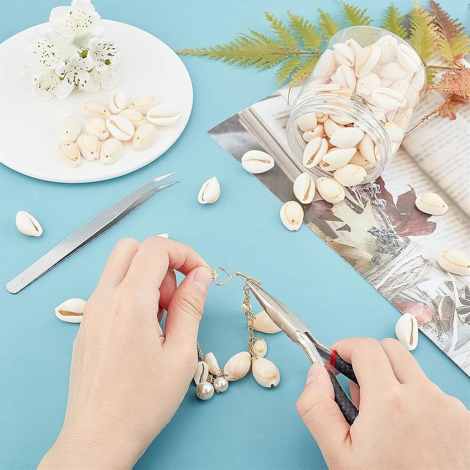 Cowrie Sepiya Pack of 30 Zero-Size Seashell