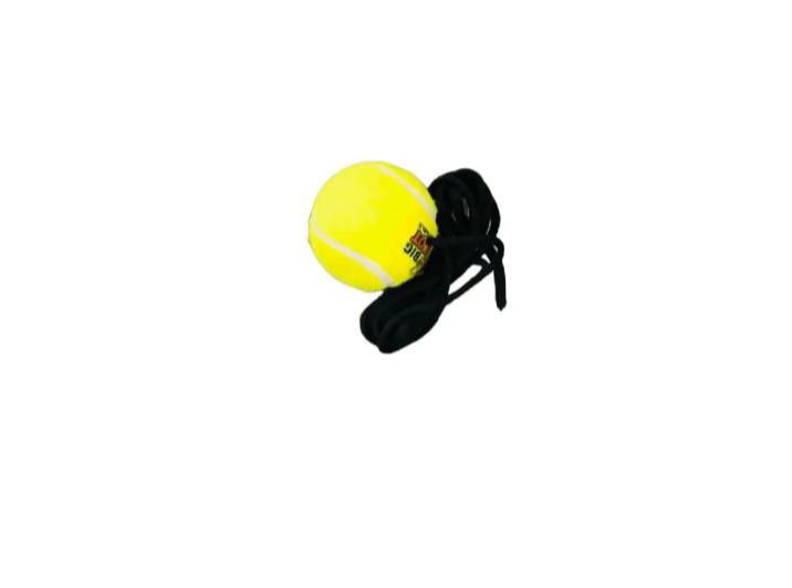 Hanging Tennis Ball With high quality rope Practice Ball